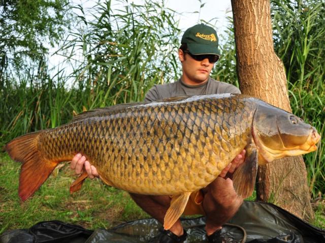 crapi tancabesti - meat-fish-da-roade-pe-tancabesti-1.jpg